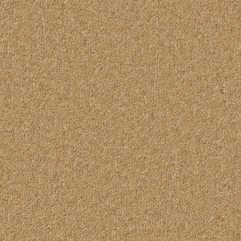 Norfolk & Co. Carpets Perivale Supreme Carpet in Maize