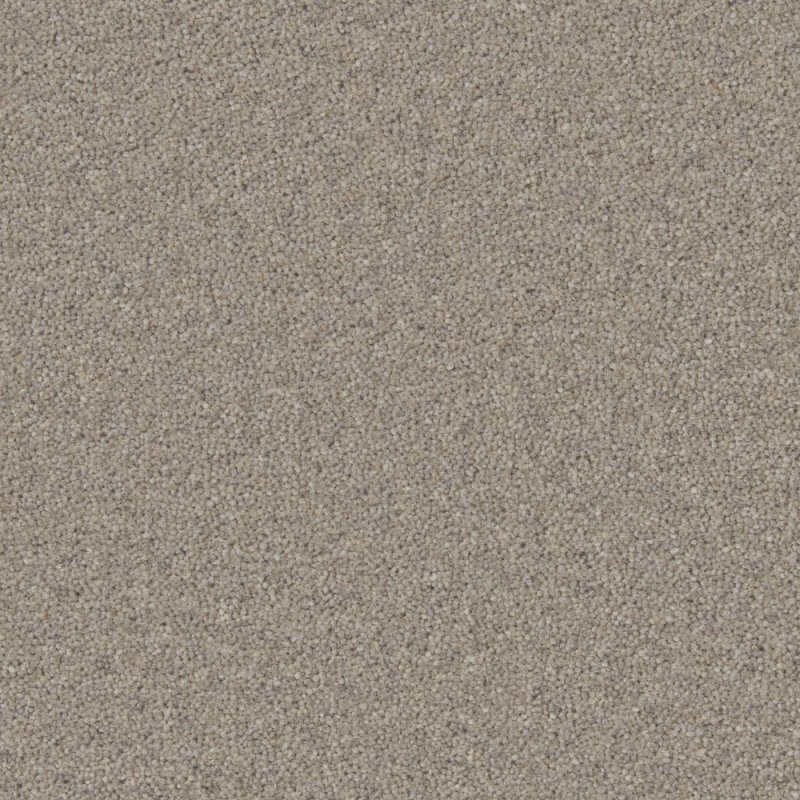 Norfolk & Co. Carpets Perivale Supreme Carpet in Silverstone