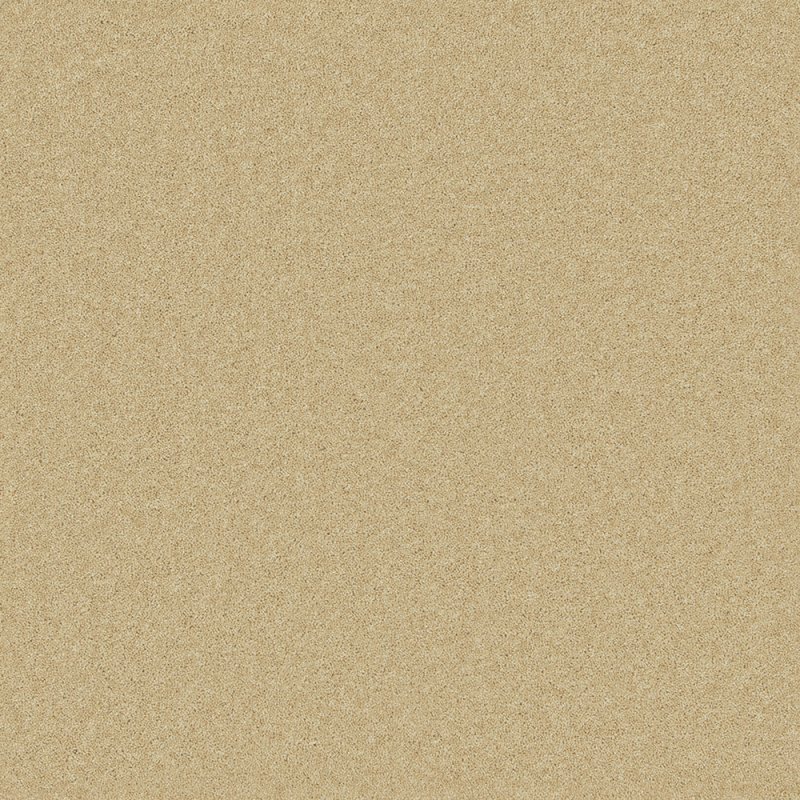 Norfolk & Co. Carpets Pembroke Carpet in Camel