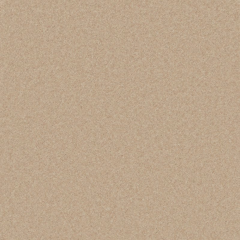 Norfolk & Co. Carpets Pembroke Carpet in Cashmere