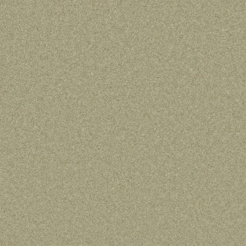 Norfolk & Co. Carpets Pembroke Carpet in Chervil