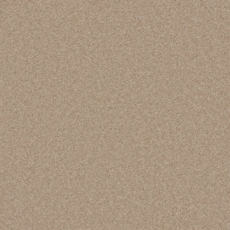 Norfolk Pretoria Carpet in Toasted Almond