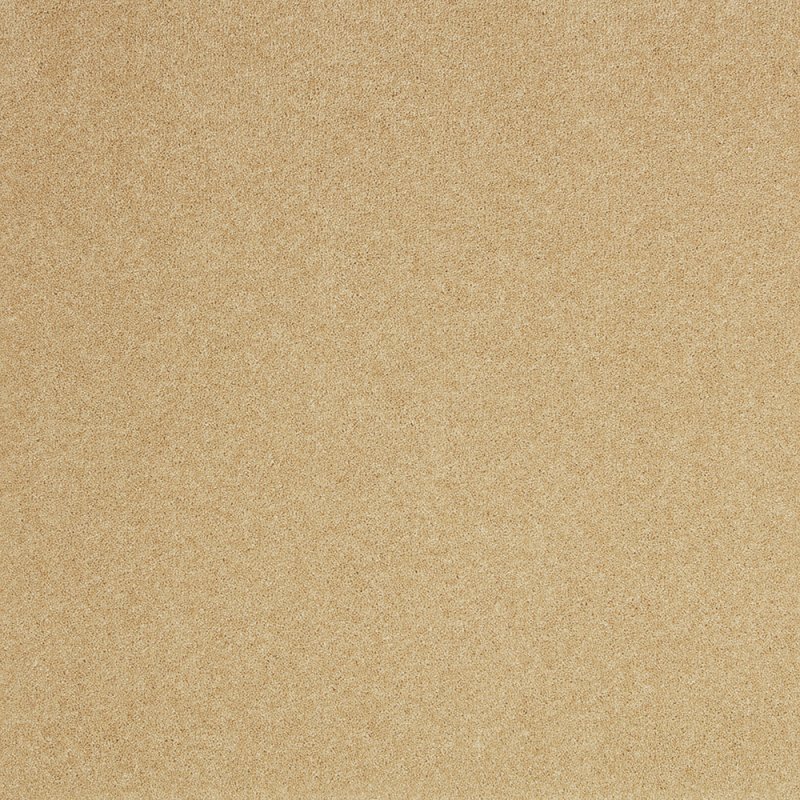 Norfolk & Co. Carpets Pembroke Carpet in Wood Ash