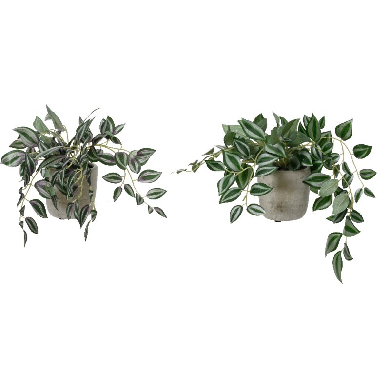 Kaemingk Chlorophytum Plant