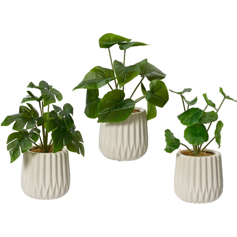 Kaemingk Lotus Leaf Plant in a Pot Group