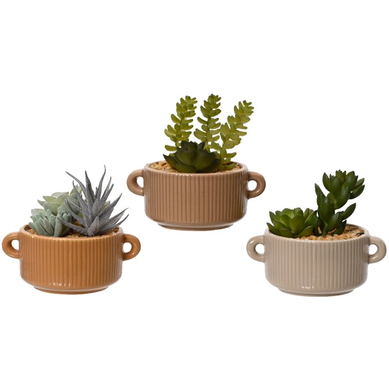 Kaemingk Succulent in a Terracotta Pot Group