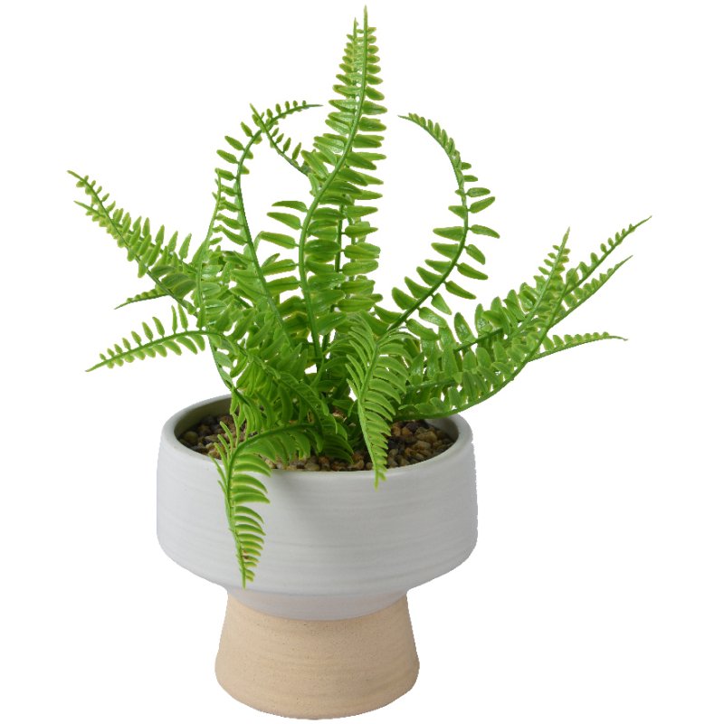 Kaemingk Fern in Pot