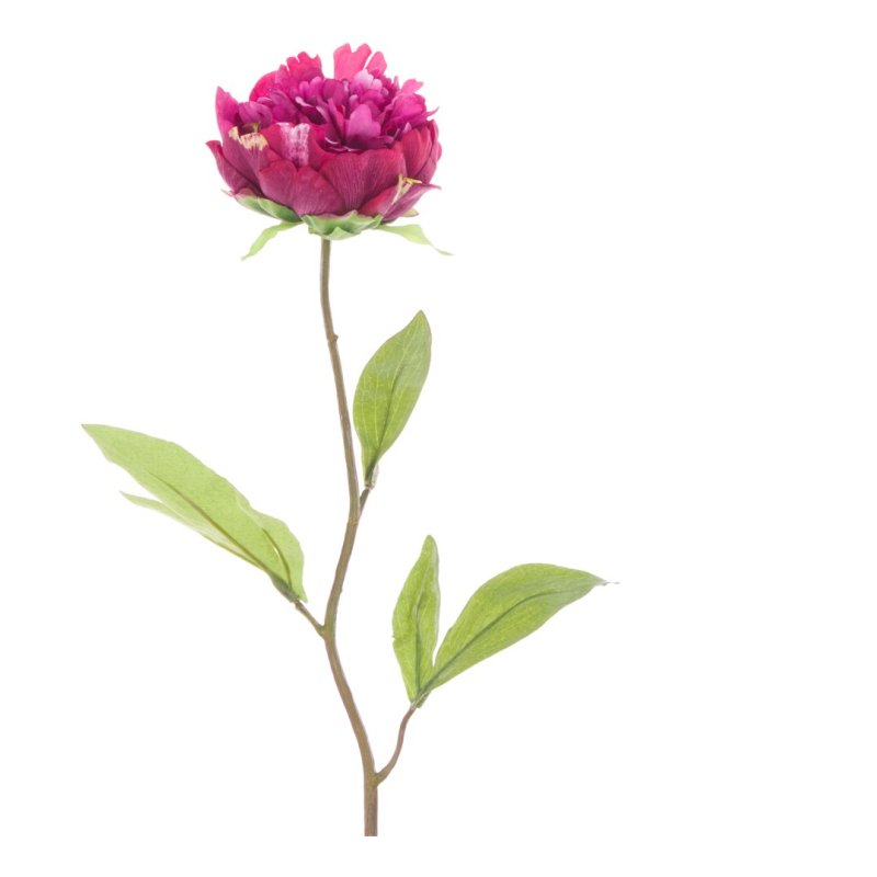 Floralsilk Single Cerise Peony image of the flower on a white background