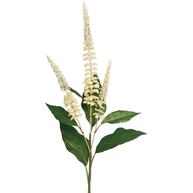 Floralsilk Ivory Buddleia image of the flower on a white background