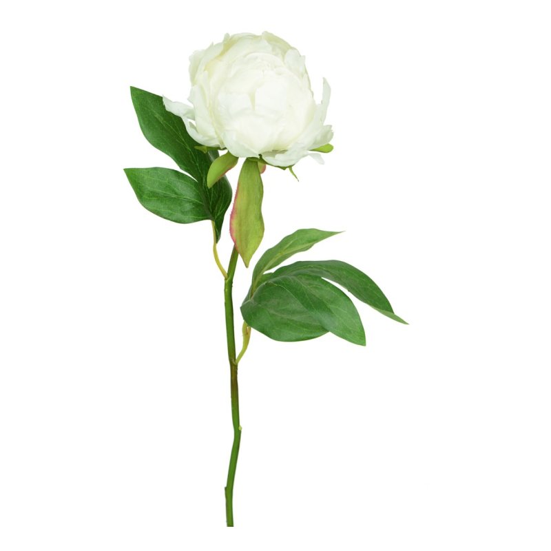 Floralsilk Cream Hybrid Peony Bud image of the flower on a white background