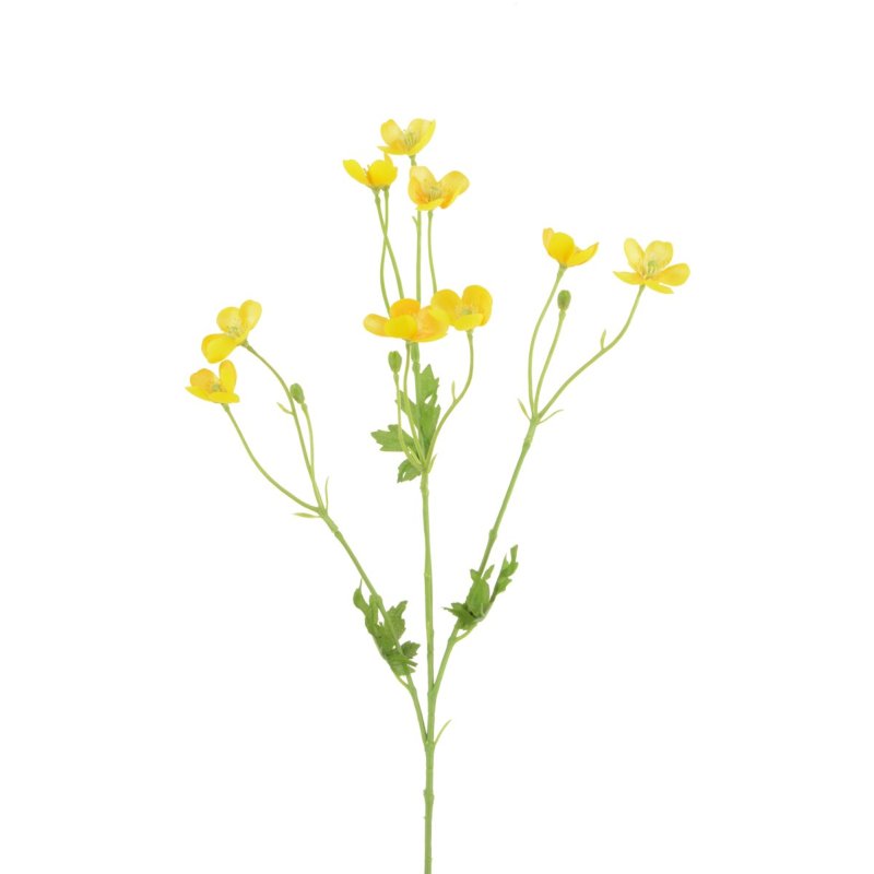 Floralsilk Meadow Buttercup image of the flower on a white background