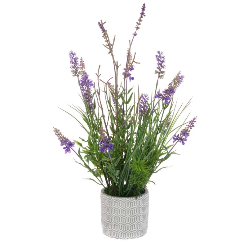 Floralsilk Lavender Plant In Ceramic Pot image of the flower on a white background
