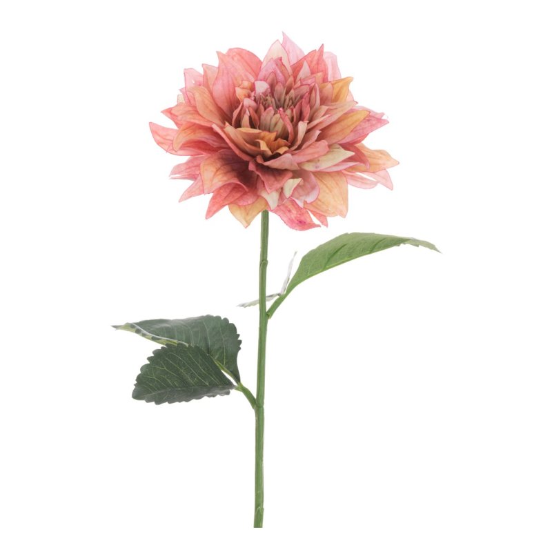 Floralsilk Pink & Green Juliet Dahlia image of the flower on a white background
