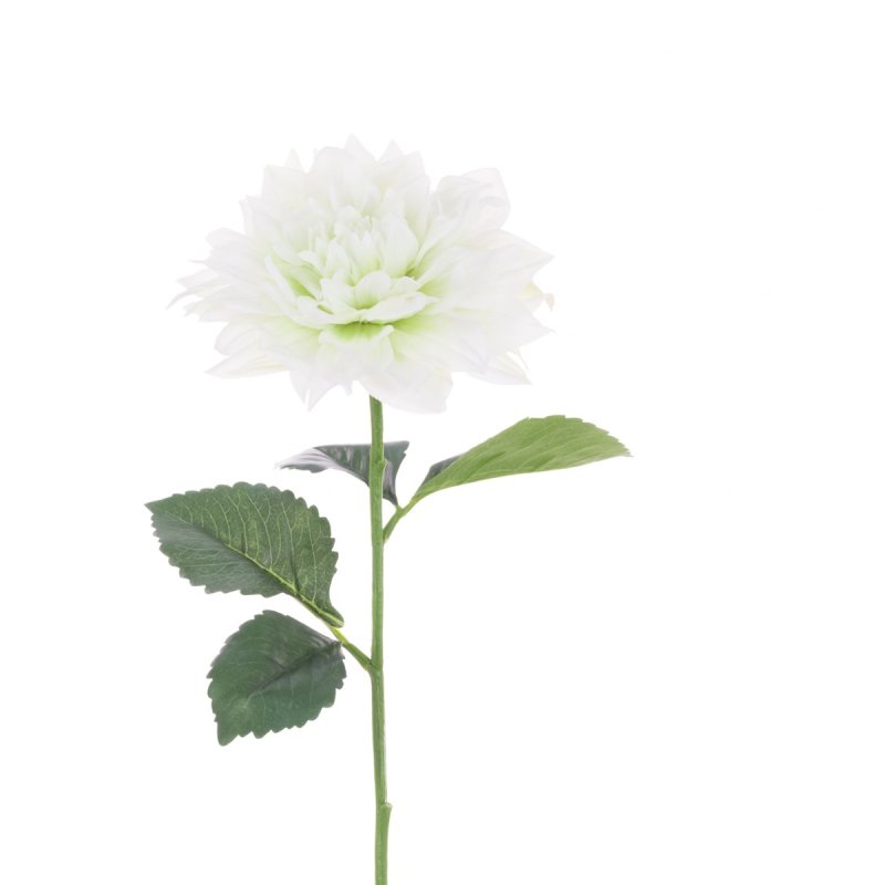 Floralsilk White & Green Juliet Dahlia image of the flower on a white background