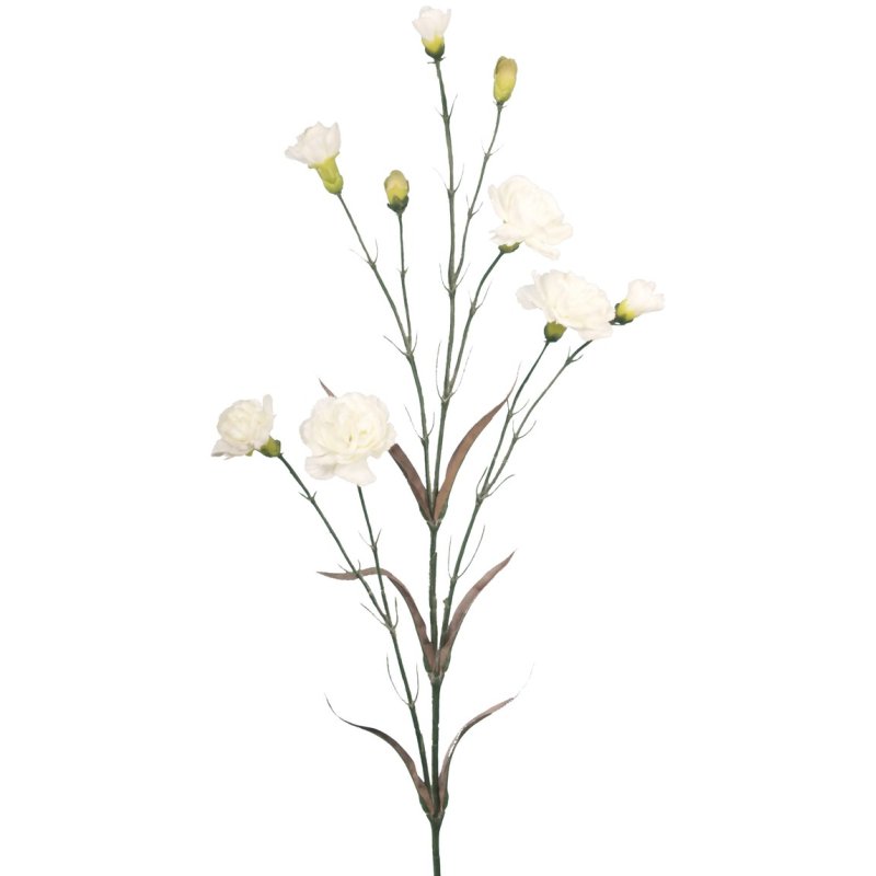Floralsilk White Carnation image of the flower on a white background
