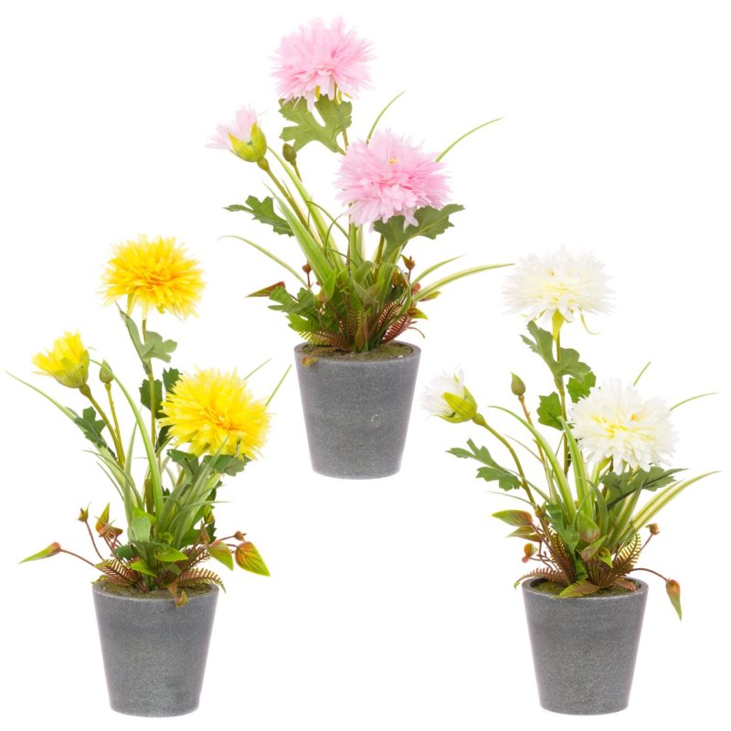 Floralsilk Assorted Potted Chrysanthemum image of the pots on a white background