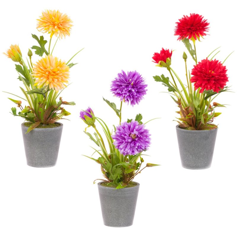 Floralsilk Assorted Vibrant Potted Chrysanthemum image of the pots on a white background