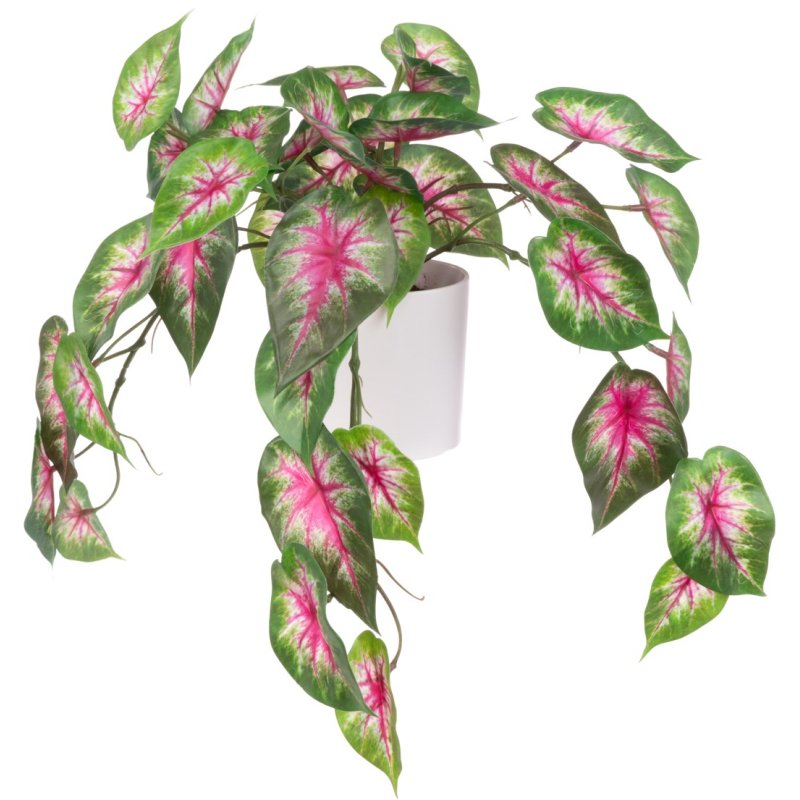 Floralsilk Real Touch Potted Caladium image of the plant on a white background