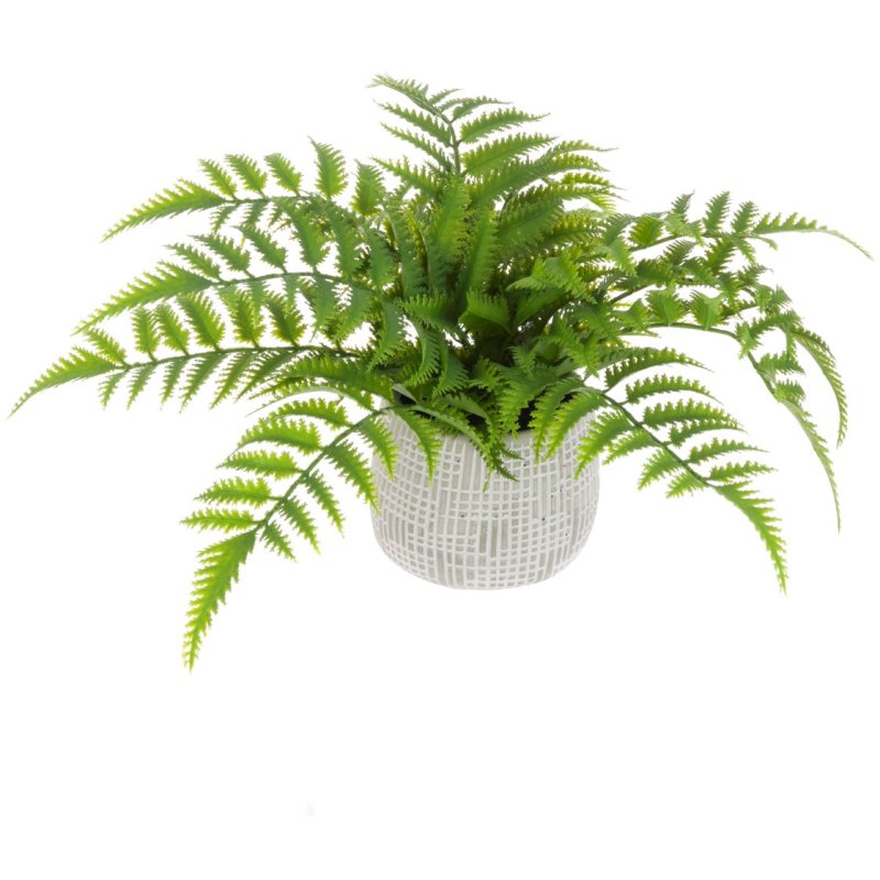 Floralsilk Fern In Ceramic Pot image of the plant on a white background
