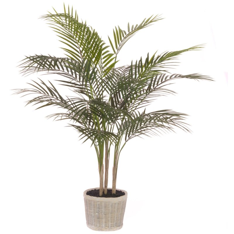 Floralsilk Palm Tree In Ceramic Pot image of the plant on a white background