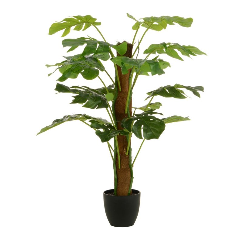 Floralsilk Split Philo Tree With Pot image of the plant on a white background
