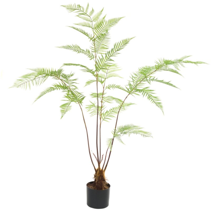 Floralsilk Tree Fern In Pot image of the plant on a white background