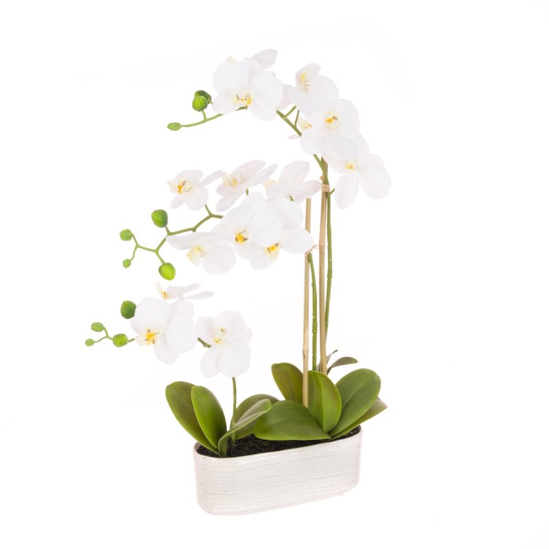 Floralsilk Orchid In Oval Pot image of the flower on a white background