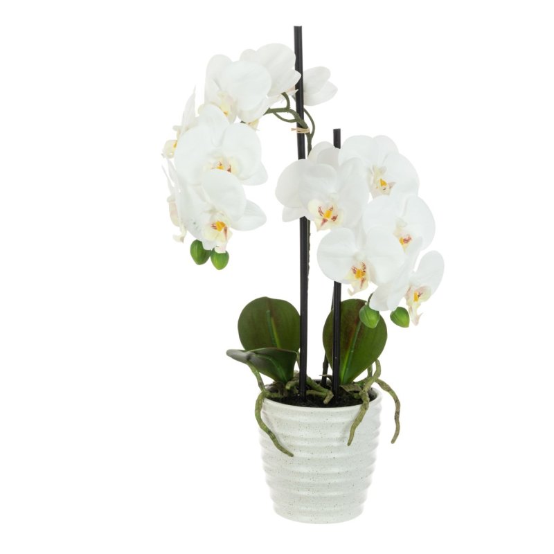 Floralsilk Orchid In Ceramic Pot image of the flower on a white background