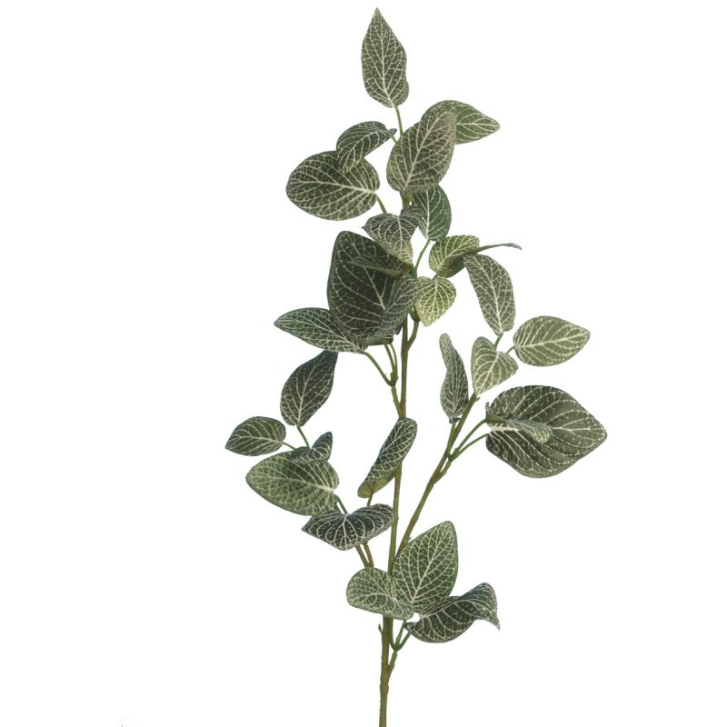 Floralsilk Fittonia Spray image of the plant on a white background