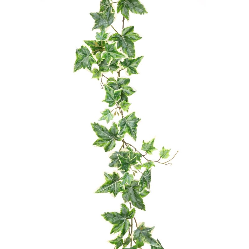 Floralsilk UV Variegated Ivy Garland image of the garland on a white background
