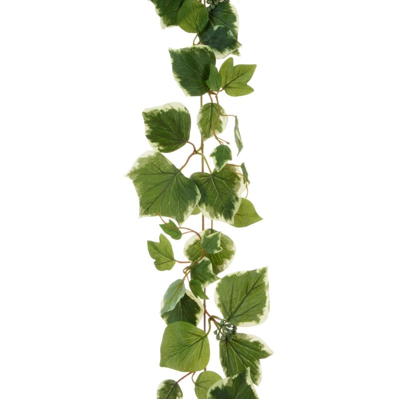 Floralsilk Variegated French Ivy Garland image of the garland on a white background