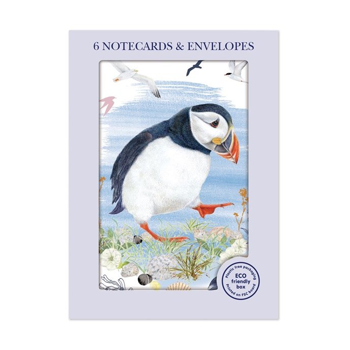 Otter House Puffin Pack Of 6 Mini Notecards image of the notecards in packaging on a white background