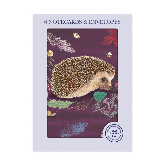 Otter House RSPB Peeping Hedgehog Pack Of 6 Mini Notecards image of the notecards in packaging on a white background