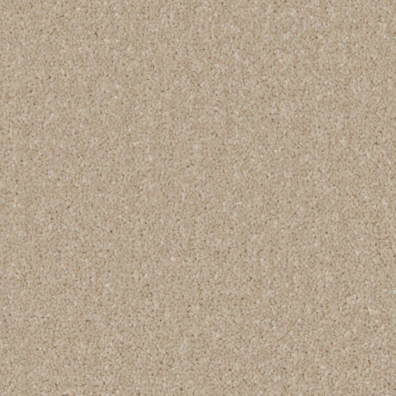 Norfolk & Co. Carpets Trentino Elite Carpet in Bay Light