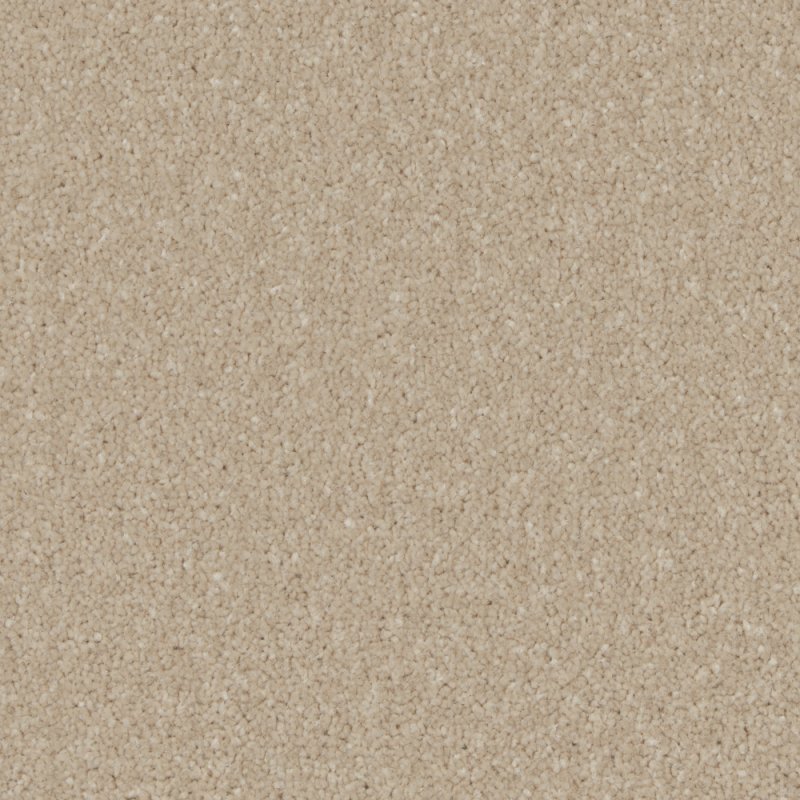 Norfolk Trentino Elite Carpet in Bay Light