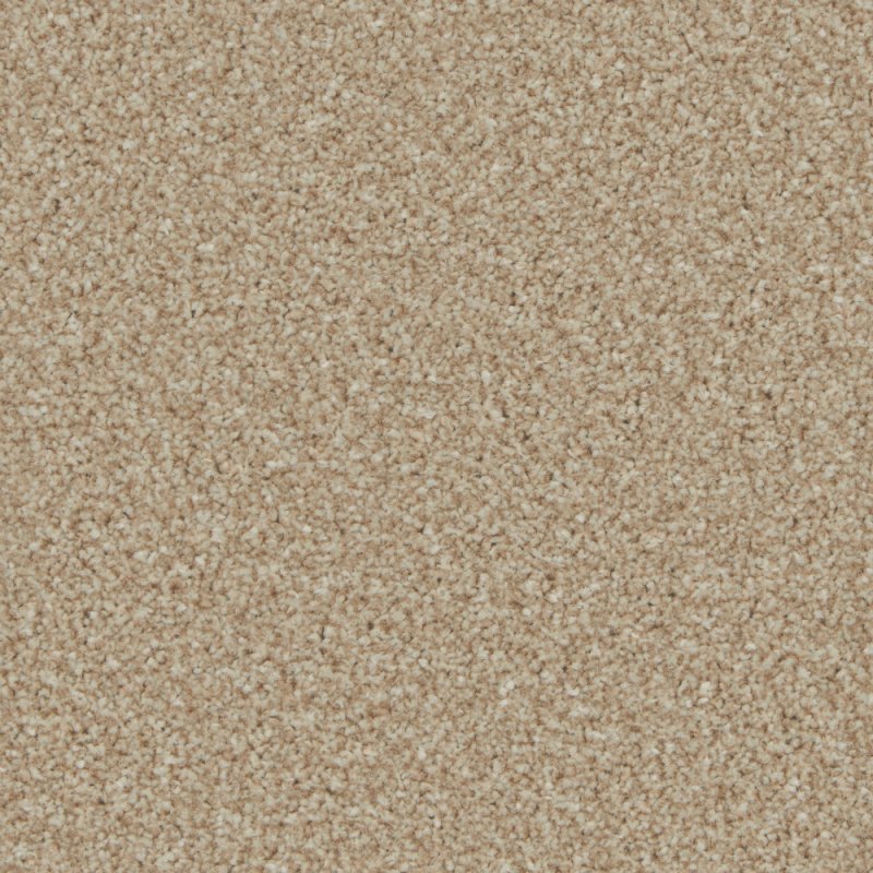 Norfolk & Co. Carpets Trentino Elite Carpet in Caracal