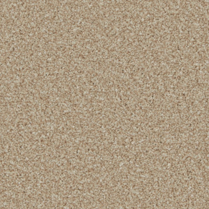 Norfolk Trentino Elite Carpet in Caracal