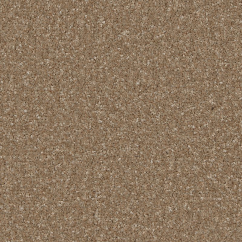 Norfolk & Co. Carpets Trentino Elite Carpet in Cedar