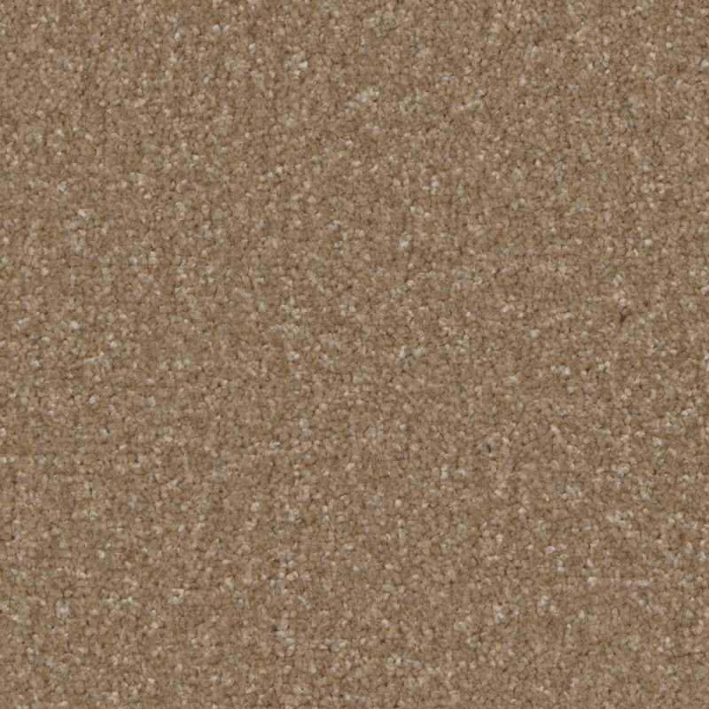 Norfolk Trentino Elite Carpet in Cedar