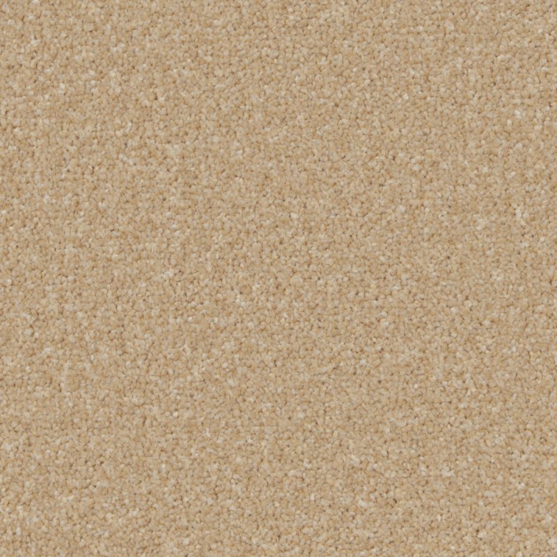 Norfolk & Co. Carpets Trentino Elite Carpet in Hayseed