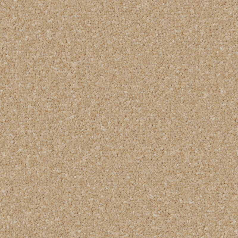 Norfolk Trentino Elite Carpet in Hayseed