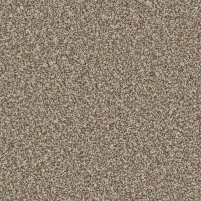 Norfolk & Co. Carpets Trentino Elite Carpet in Kernel
