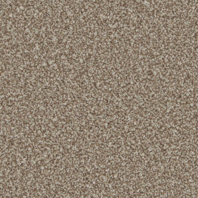 Norfolk Trentino Elite Carpet in Kernel