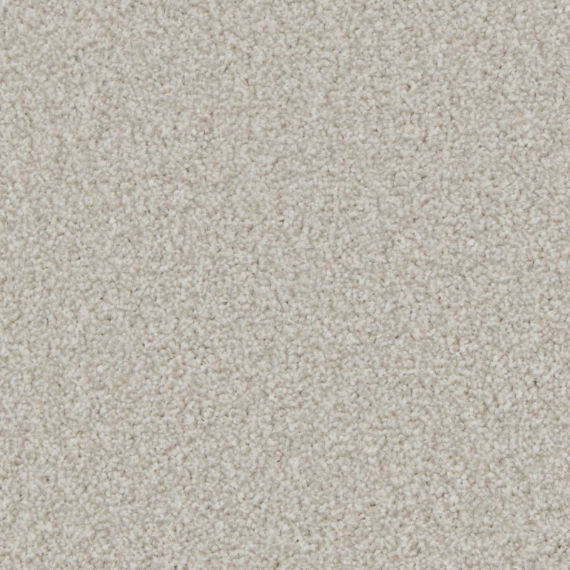 Norfolk & Co. Carpets Trentino Elite Carpet in Light Cloud