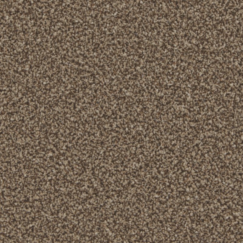 Norfolk Trentino Elite Carpet in Mocha