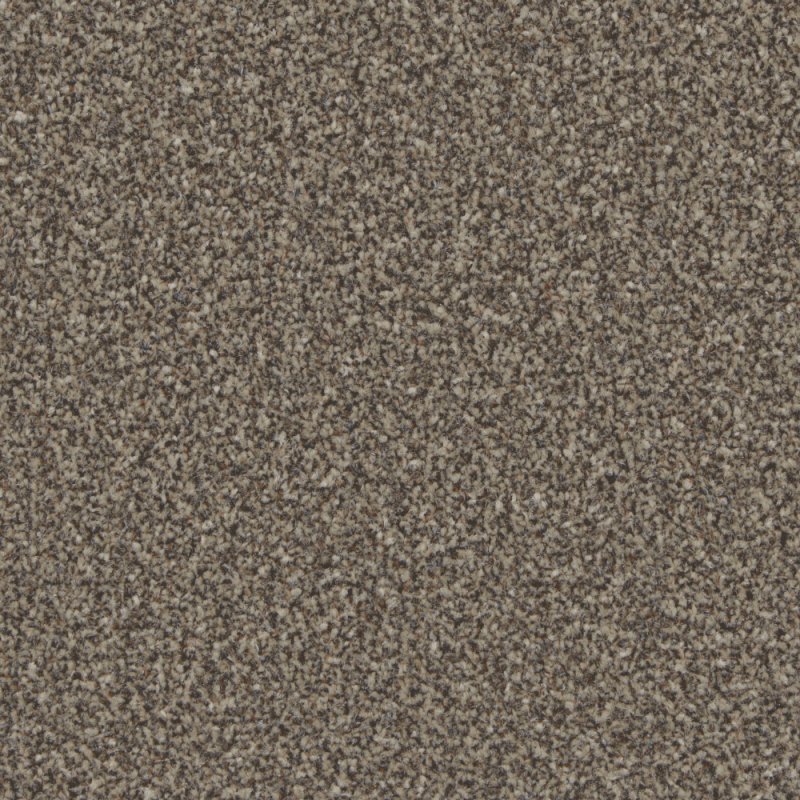 Norfolk & Co. Carpets Trentino Elite Carpet in Molasses