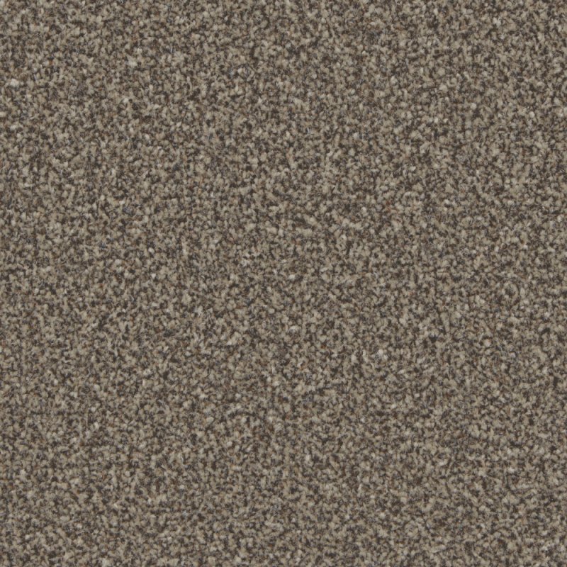 Norfolk Trentino Elite Carpet in Molasses