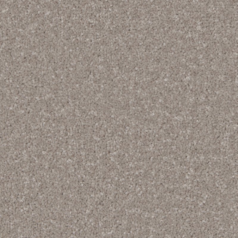 Norfolk & Co. Carpets Trentino Elite Carpet in Mushroom