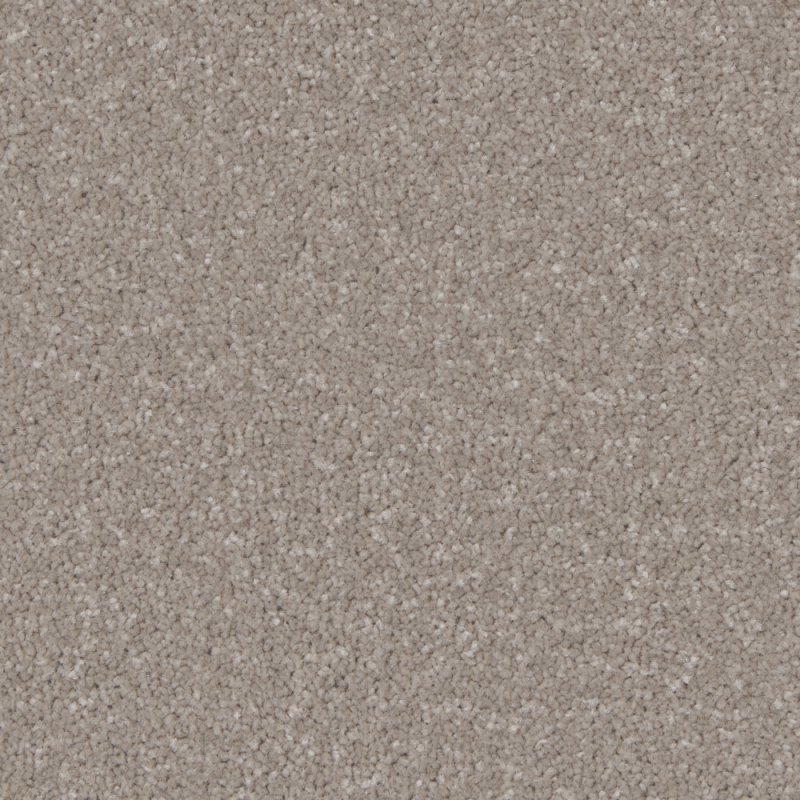 Norfolk Trentino Elite Carpet in Mushroom