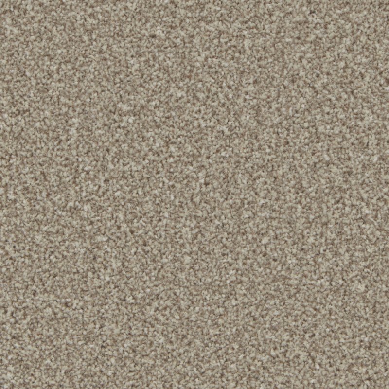 Norfolk Trentino Elite Carpet in Pale Oak